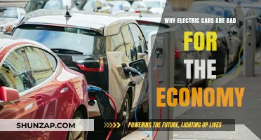 Electric Vehicles: Economic Downsides and Hidden Costs Explained