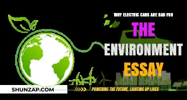 Electric Cars' Hidden Environmental Costs: A Critical Analysis