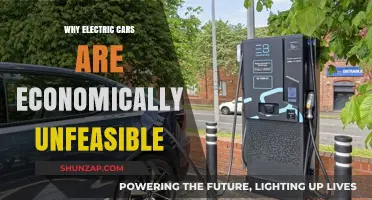Electric Vehicles: Economic Challenges and Unsustainable Costs Explained