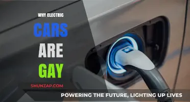 Electric Cars: Embracing Diversity and Breaking Stereotypes on the Road