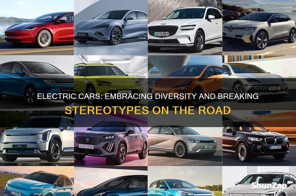 why electric cars are gay