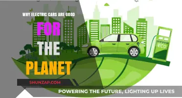 Electric Cars: A Sustainable Choice for a Greener Future