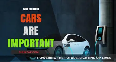 Electric Cars: Driving a Sustainable Future for Our Planet