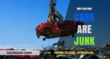 Electric Cars: Overhyped, Underperforming, and Not Eco-Friendly as Promised