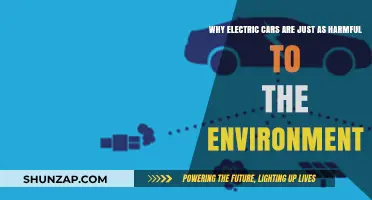 Electric Vehicles' Hidden Environmental Costs: Beyond the Zero-Emission Myth