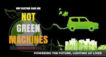 Electric Cars' Hidden Environmental Costs: Beyond the Green Machine Myth