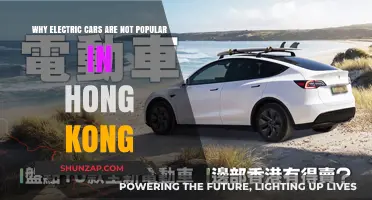 Hong Kong's Electric Car Challenge: Barriers to Adoption Explained