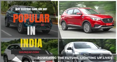 Electric Cars in India: Challenges Hindering Their Widespread Adoption