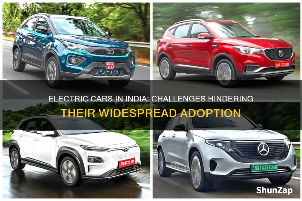 why electric cars are not popular in india