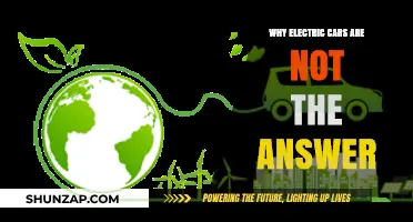 Electric Vehicles: Unsustainable Hype or Real Environmental Solution?