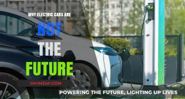 Electric Vehicles: Why They Might Not Dominate the Future of Transportation