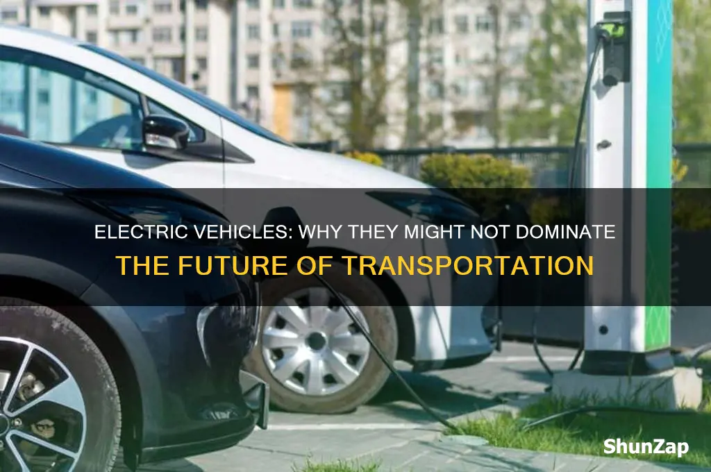why electric cars are not the future
