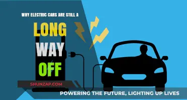 Electric Vehicles: Challenges Delaying Mainstream Adoption and Future Prospects
