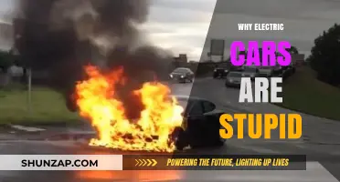 Electric Cars: Overhyped, Underperforming, and Unsuitable for Real-World Needs