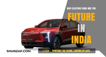 Electric Cars: India's Sustainable, Cost-Effective Future Transportation Solution