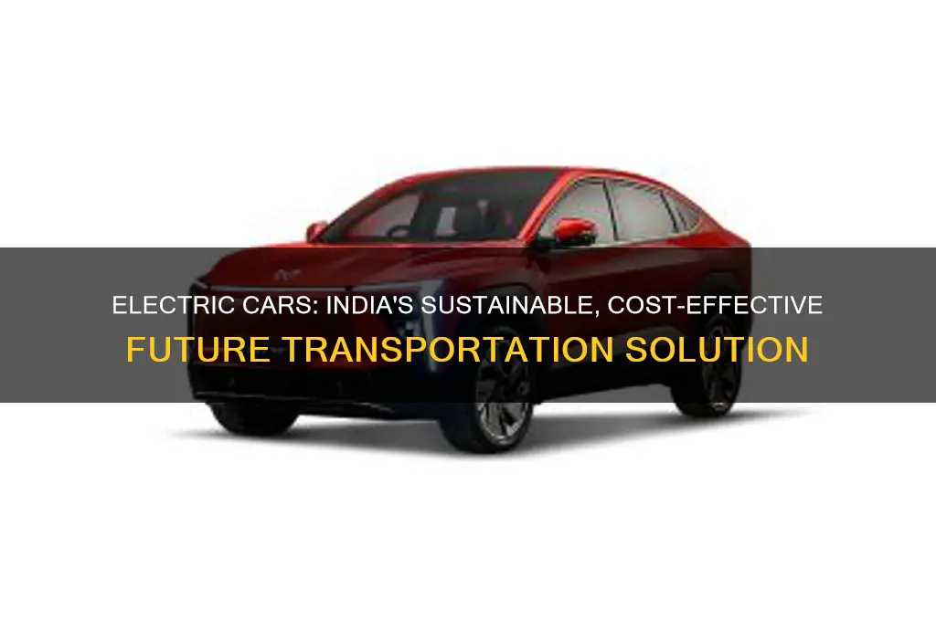 why electric cars are the future in india