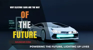 Electric Cars: The Sustainable, Efficient Future of Transportation