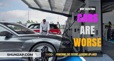 Electric Cars: Hidden Costs and Environmental Downsides Revealed