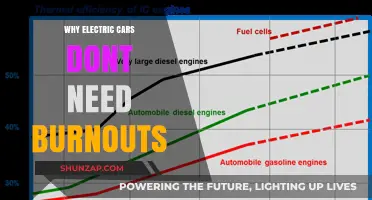Electric Cars Skip Burnouts: Efficiency, Torque, and Eco-Friendly Performance Explained