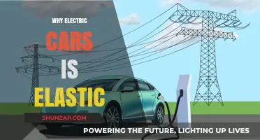 Why Electric Car Demand is Highly Elastic: Key Factors Explained