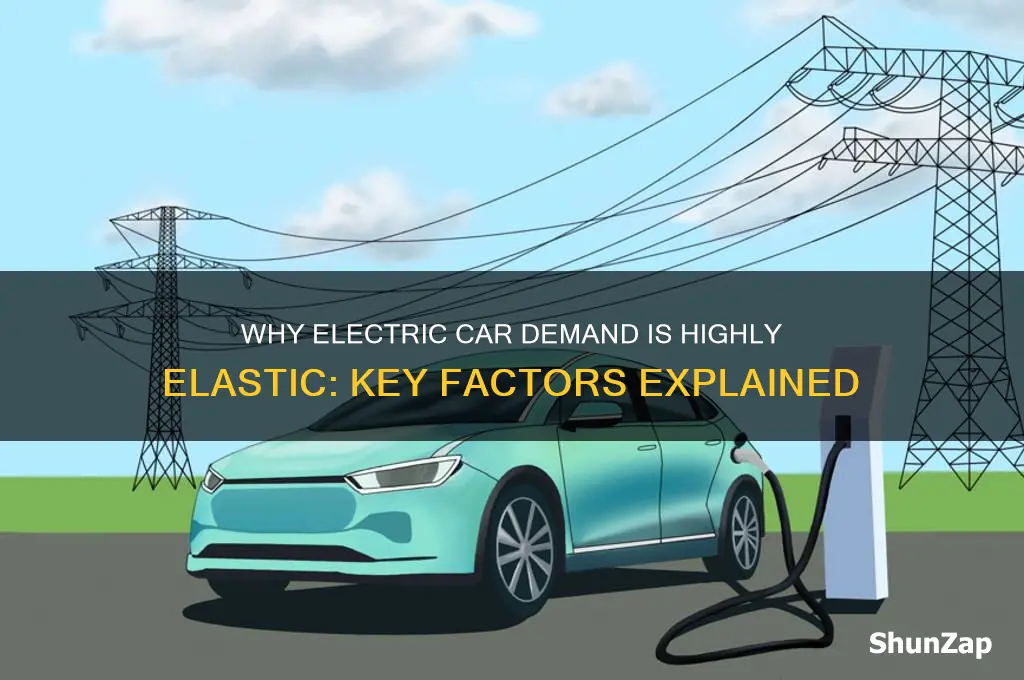 why electric cars is elastic