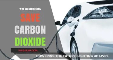 Electric Cars: A Greener Choice to Cut Carbon Emissions