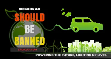 Electric Cars: Environmental Myth or Unsustainable Future?