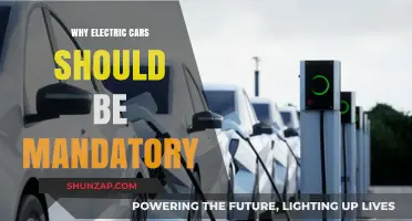 Mandating Electric Vehicles: A Sustainable Future for Our Planet