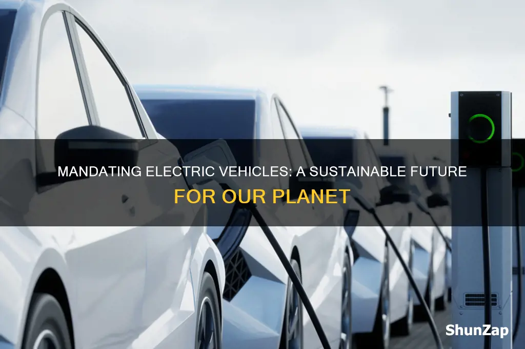why electric cars should be mandatory
