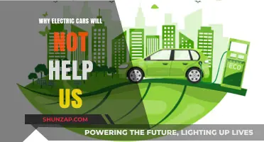 Electric Cars: Why They Won’t Solve Our Environmental Crisis
