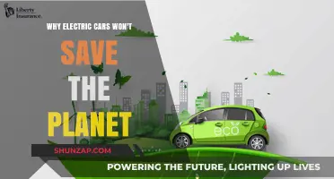Electric Cars: A Green Mirage in the Climate Crisis?