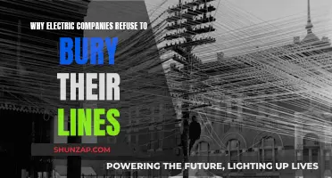 Electric Companies Refuse to Bury Power Lines: The Real Reasons Why