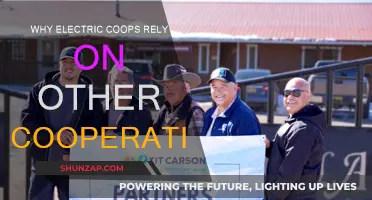 Electric Co-ops: Strength in Numbers Through Collaboration