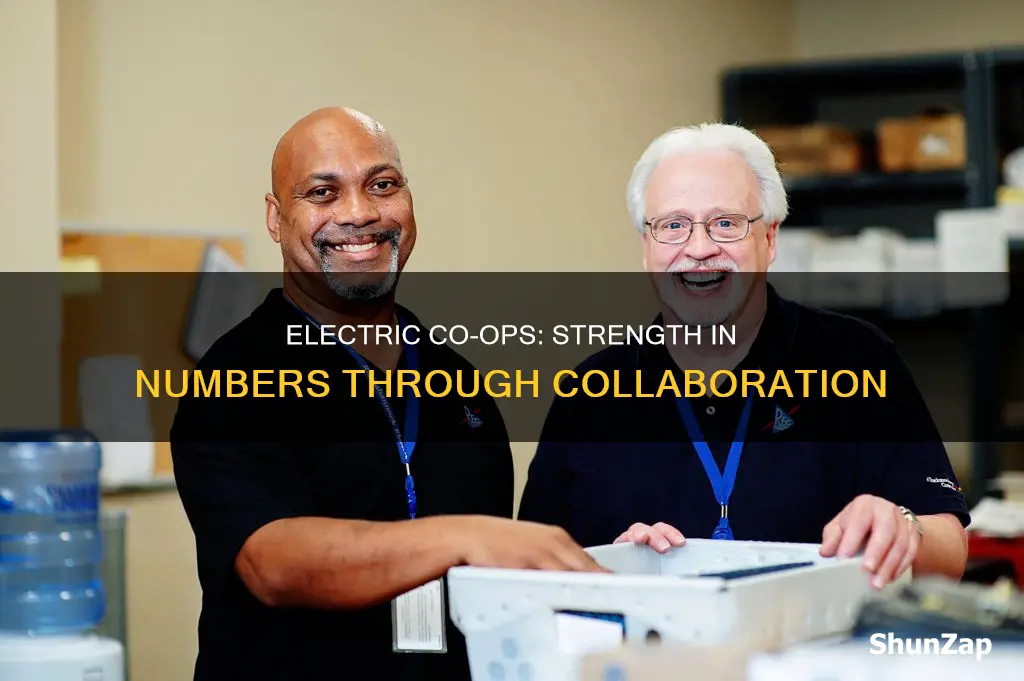 why electric coops rely on other cooperatives