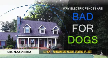 Electric Fences: A Cruel and Harmful Way to Contain Dogs