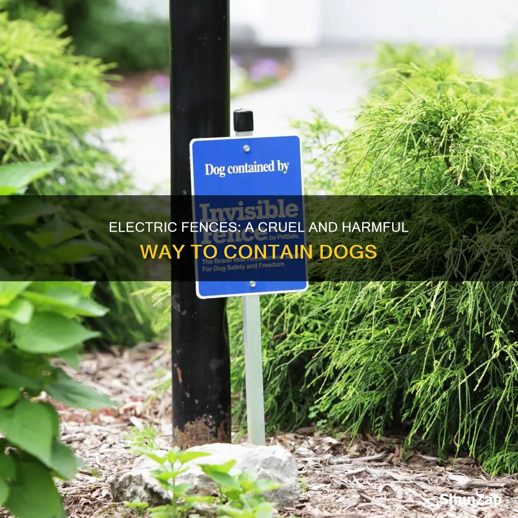 why electric fences are bad for dogs