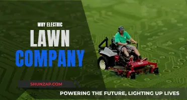Electric Lawn Company: Greener, Quieter Yards