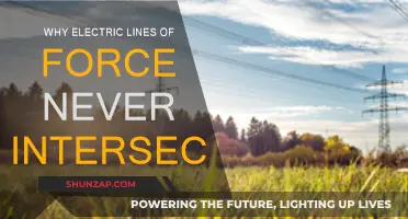 Electric Force Lines: Never Intersect, Always Parallel
