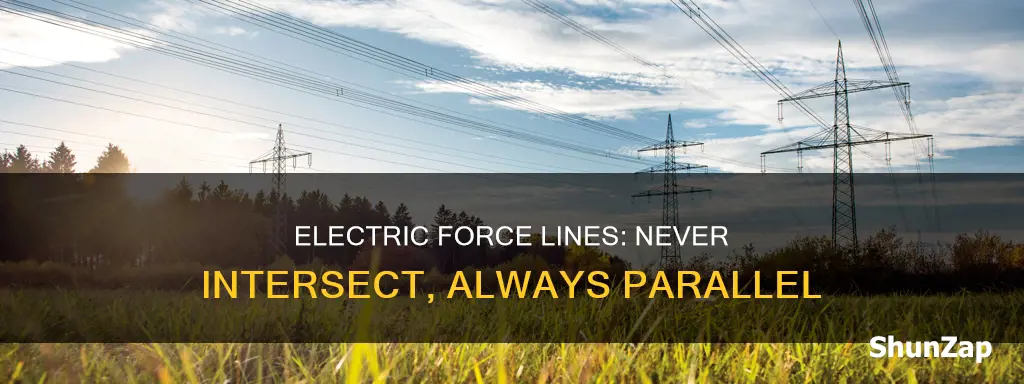 why electric lines of force never intersect