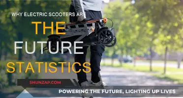 Electric Scooters: Sustainable Future, Statistics Speak