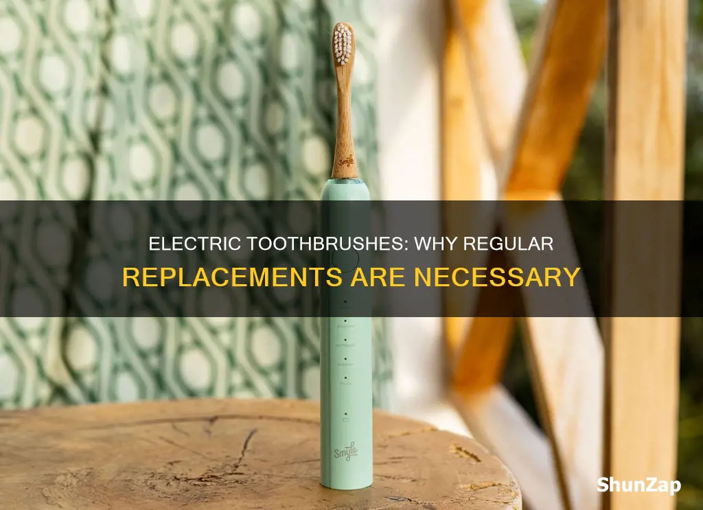 why electric toothbrushes have to be replaced