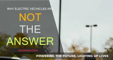 Electric Vehicles: Not the Silver Bullet Solution