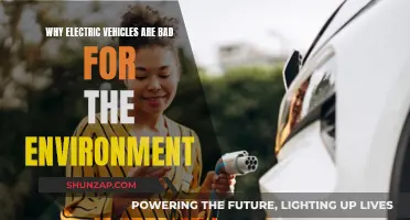 Electric Vehicles: Environmental Hazards and Unseen Drawbacks