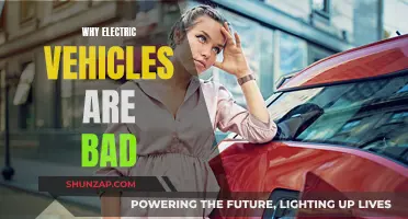 Electric Vehicles: The Dark Side of the Revolution