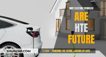 Electric Vehicles: Powering a Sustainable Future