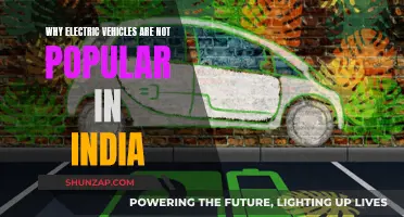 India's Slow Embrace of Electric Cars: Unraveling the Mystery