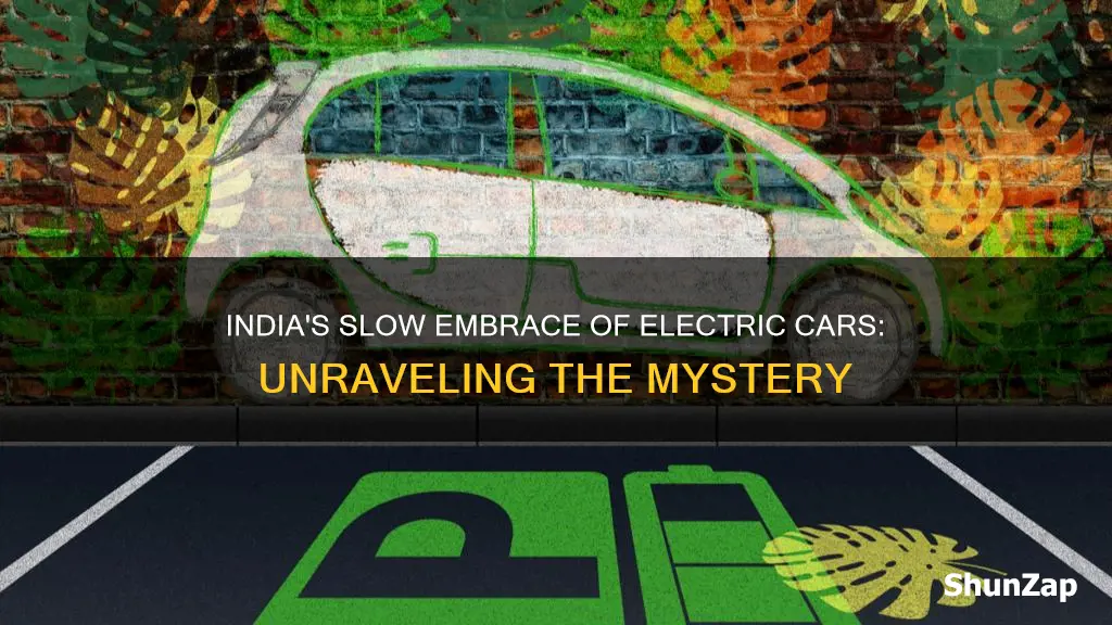 why electric vehicles are not popular in india