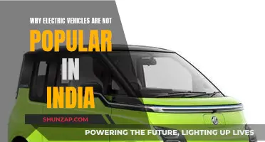 Electric Vehicles in India: Slow Adoption, What's the Reason?