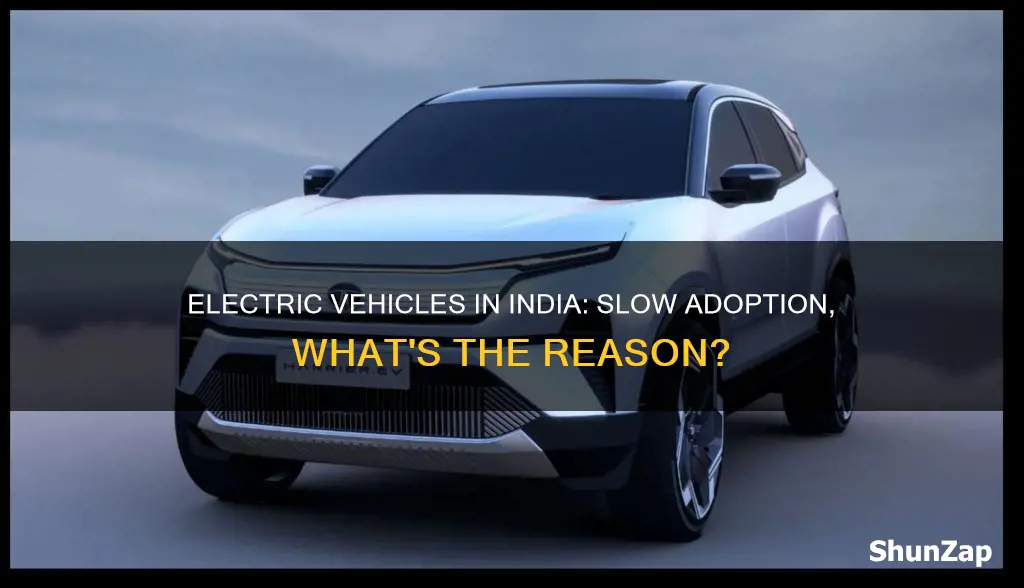 why electric vehicles are not popular in india