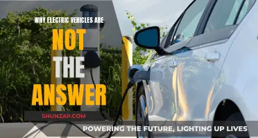 Electric Vehicles: Overhyped and Overstated Solution to Climate Change